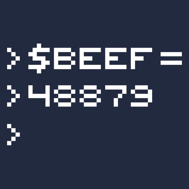 BEEF 8-Bit Code Nerd Pixel Terminal Retro