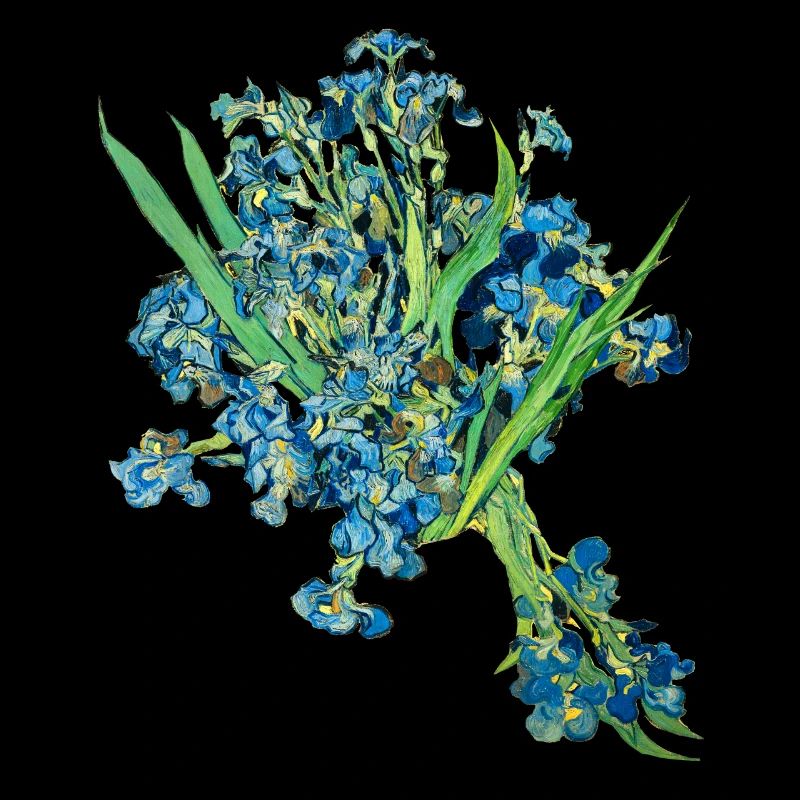 Vincent van Gogh * Iris Schwertlilien Blumen 1889