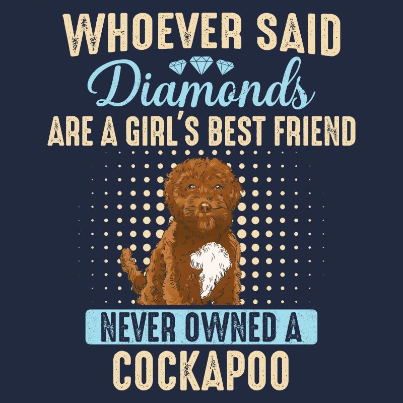Cockapoo Chien