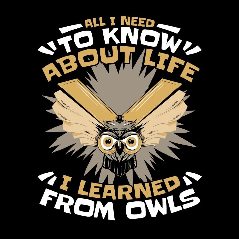 Eule Vogel Tier Eulen