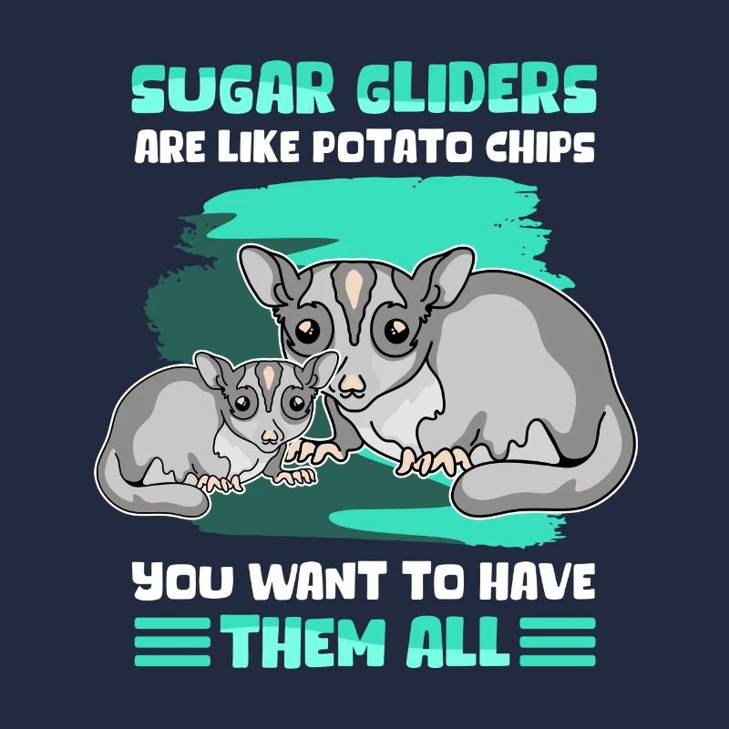 Sugar Glider Short Head Glider Cadeau