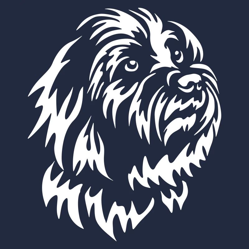 Coton de Tuléar Head « Black Edition »