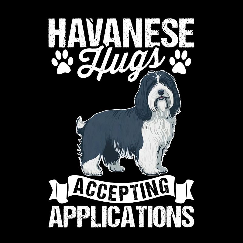 Le bichon havanais accepte les candidatures