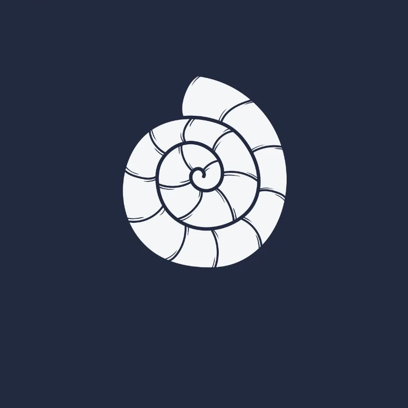 Snail Shell Spiral Snail