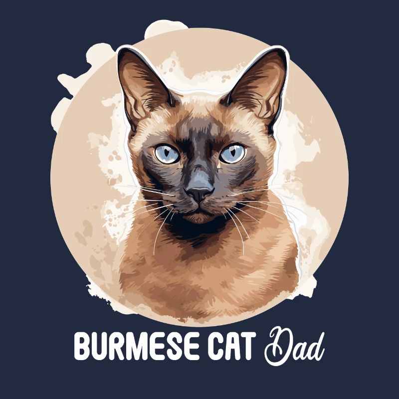 Chat birman Birmanie Katze