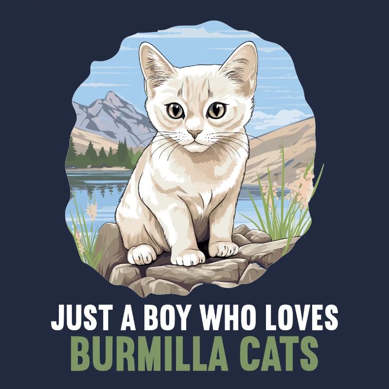 Burmilla Chaton Burmilla Chat