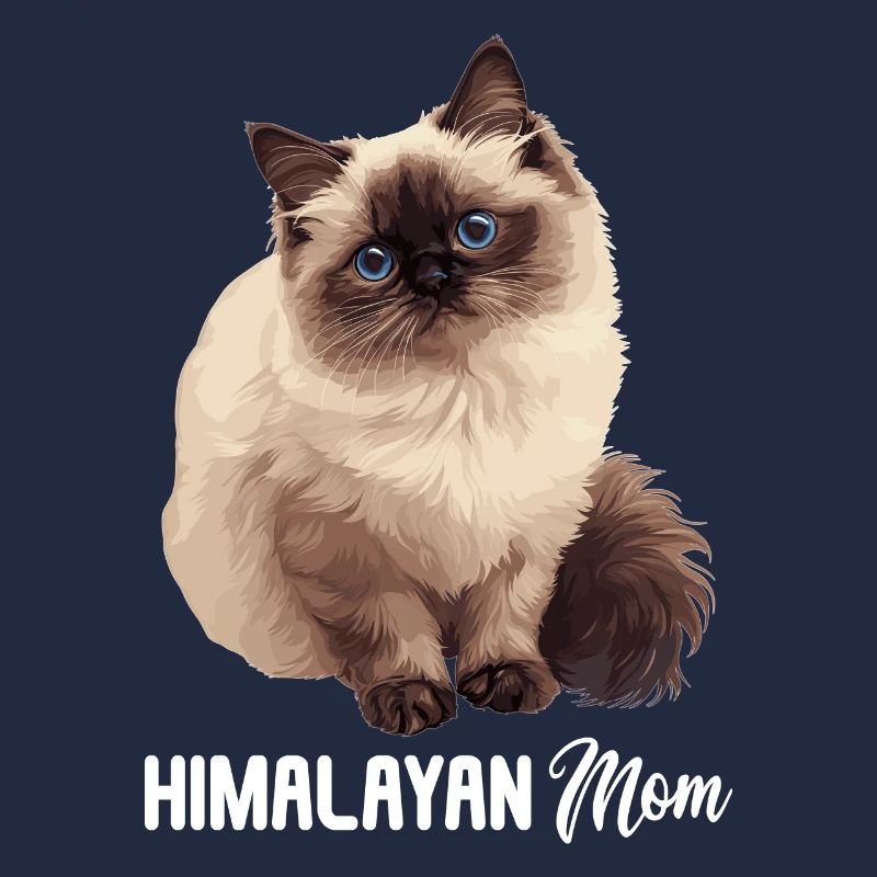 Himalayan Cat Colourpoint Katze