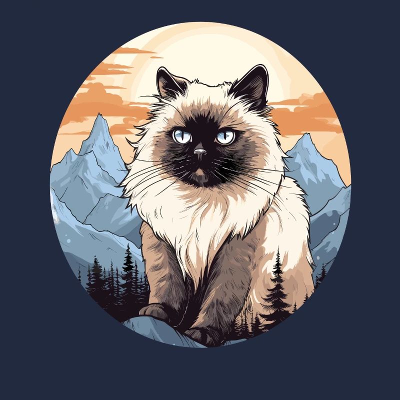 Chat de l’Himalaya Colourpoint Katze