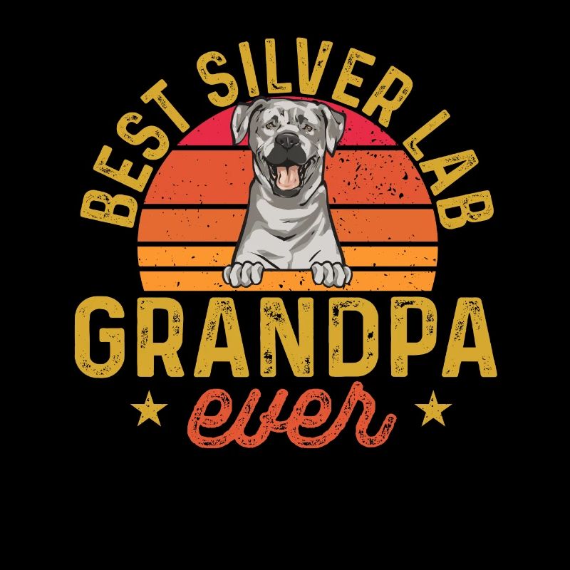 Silver Labrador Retriever Silver Lab