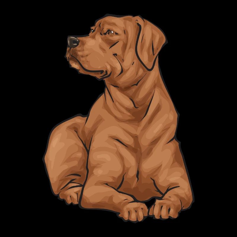 Fuchsroter Labrador Retriever Renard Labrador Rouge