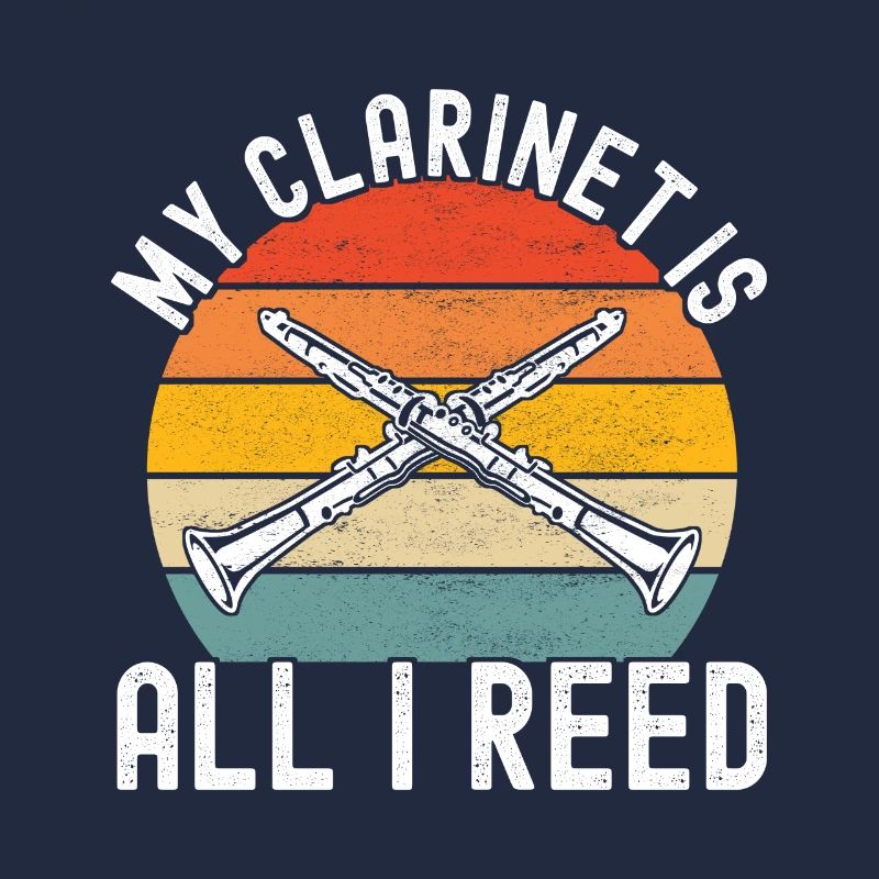 Clarinet Wind Instrument Clarinet player