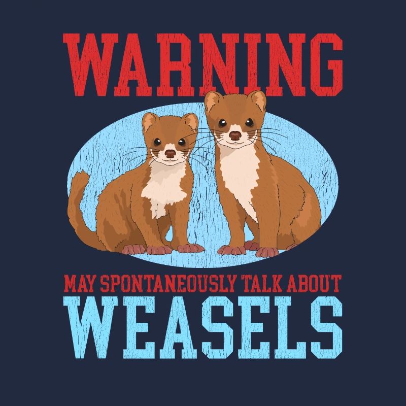 Weasel Mouse Weasel Small Weasel Gift