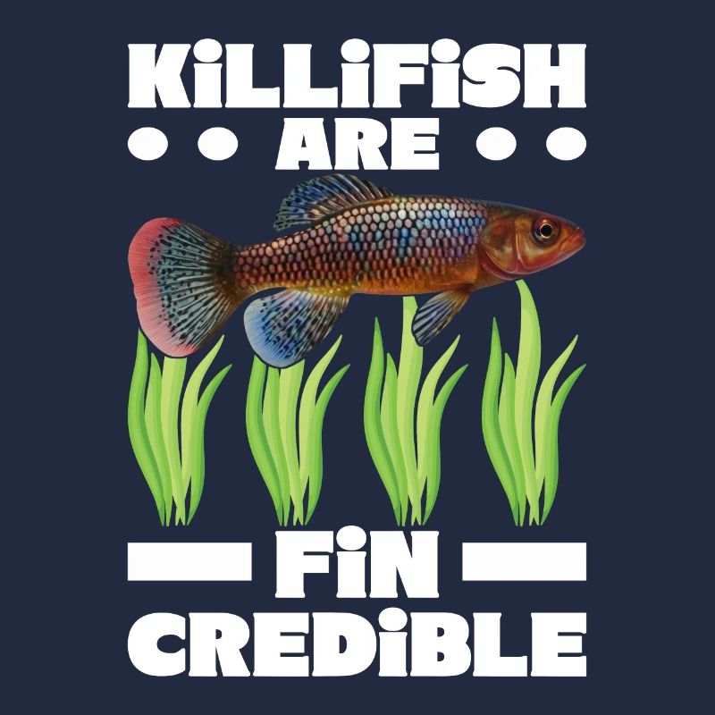 Killifish Quarium Fish