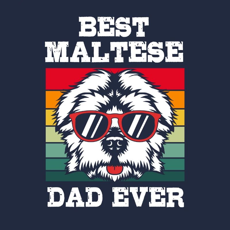 Maltese Dog