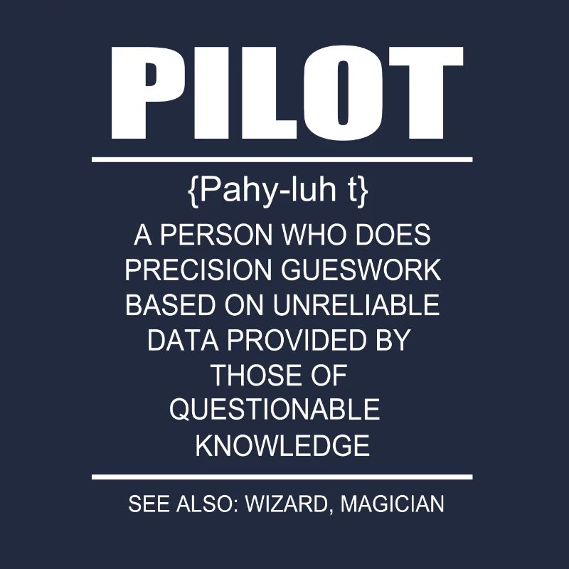 Pilot Flugzeug