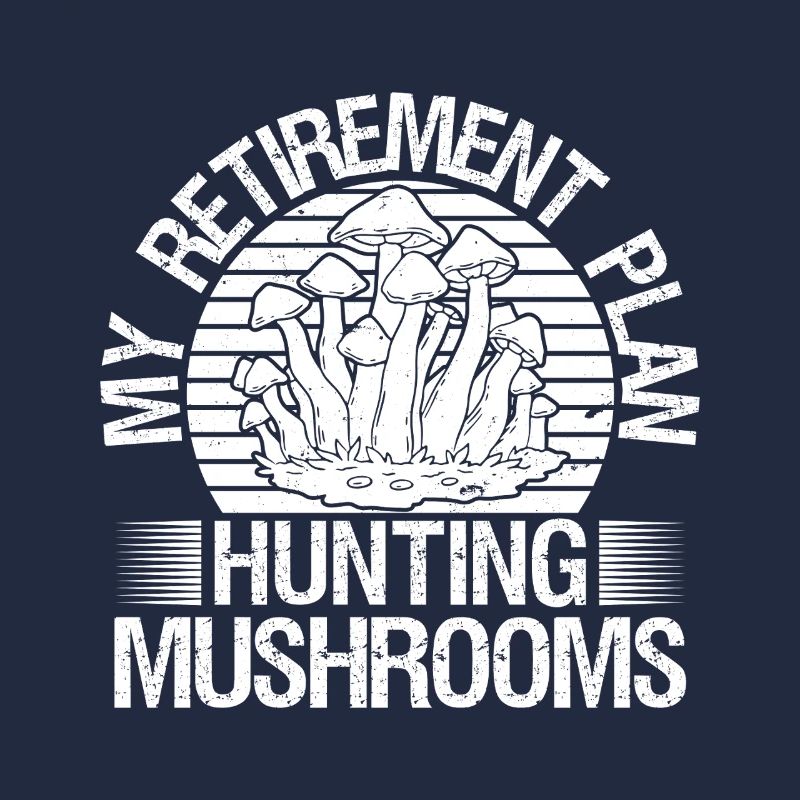 Morilles Plan de retraite Chasse aux champignons