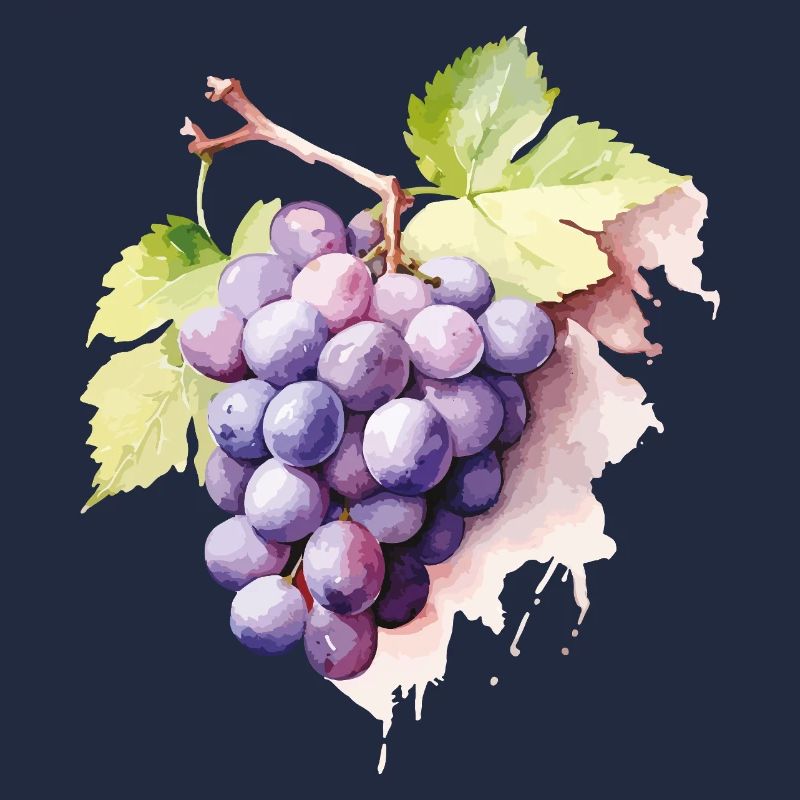 Grappe d’aquarelle de raisins