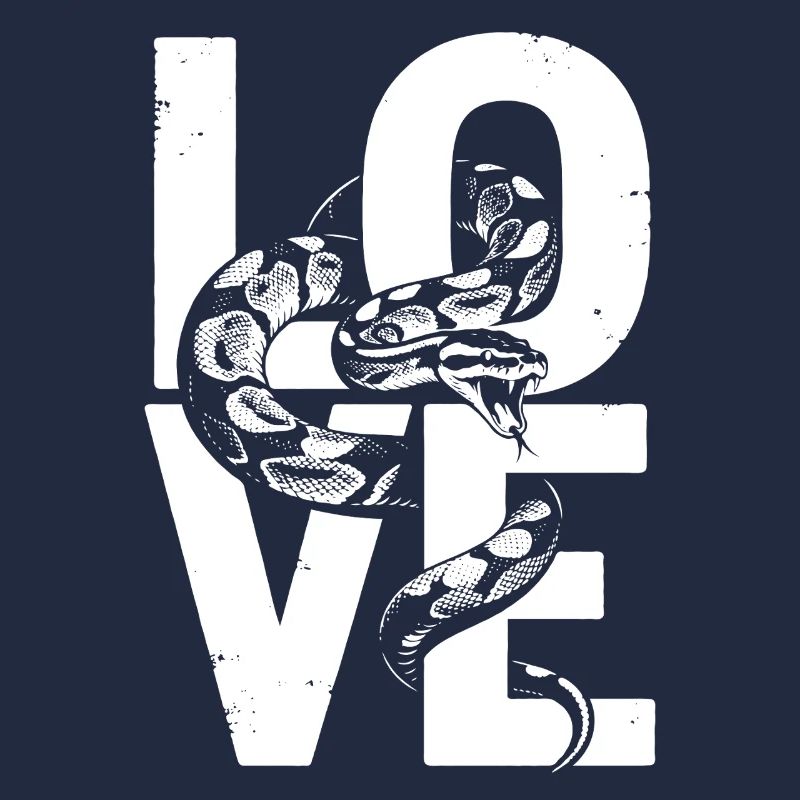 Königspython Schlangen LOVE Terrarium Python