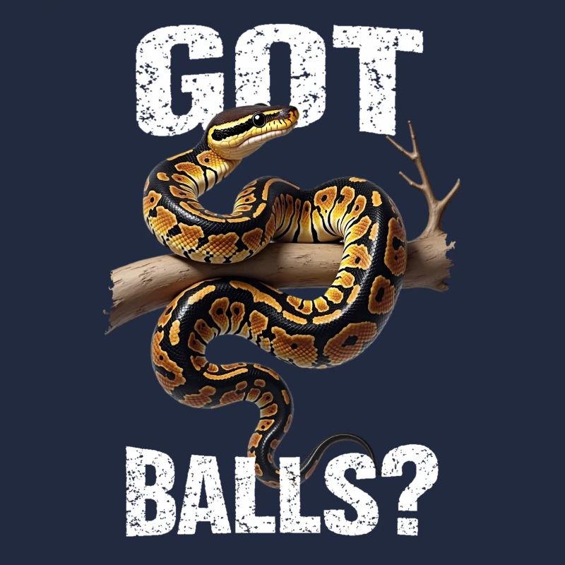 Python roi Serpents Amateurs de terrarium Python