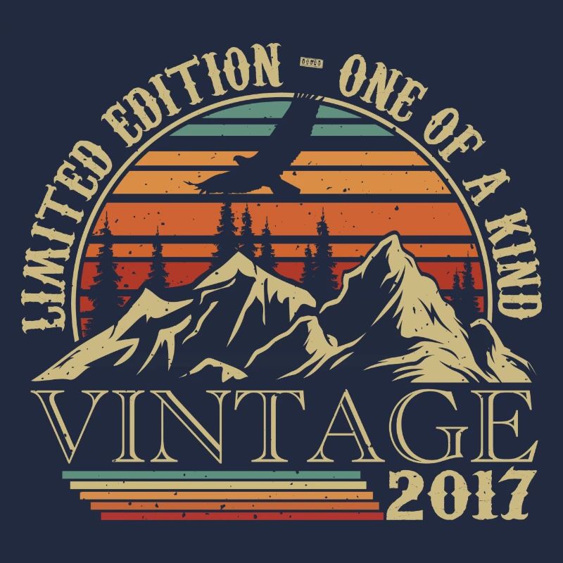 2017 Vintage Retro 2017 Anniversary Gift