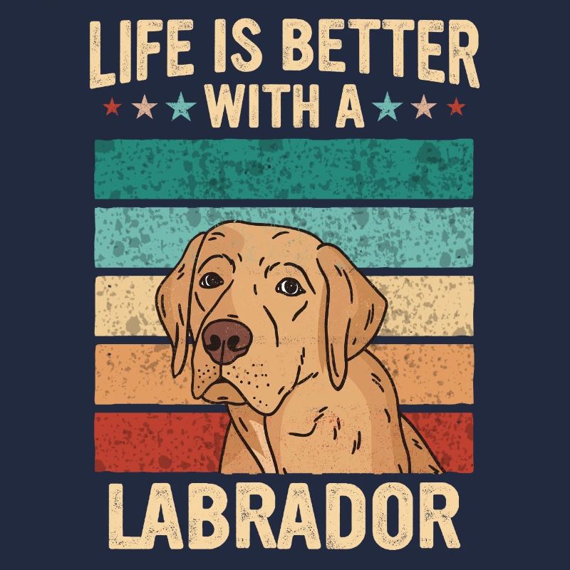 Chien Labrador