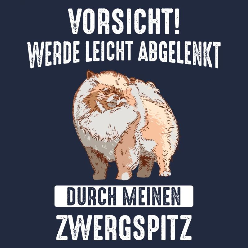 Zwergspitz Pomeranian Hund