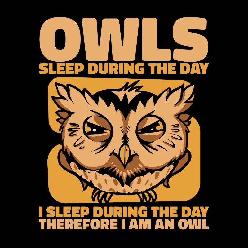 Eule Vogel Tier Eulen