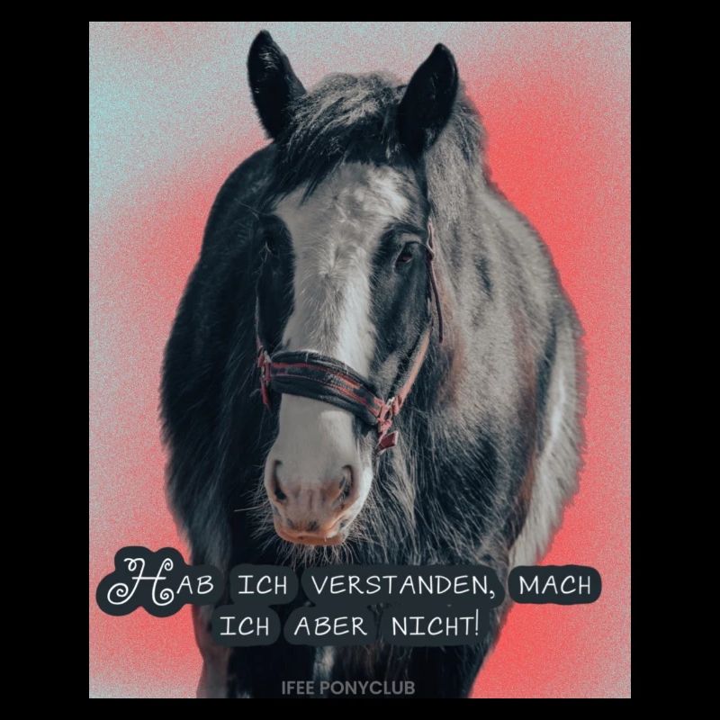 Drachi Mottoshirt