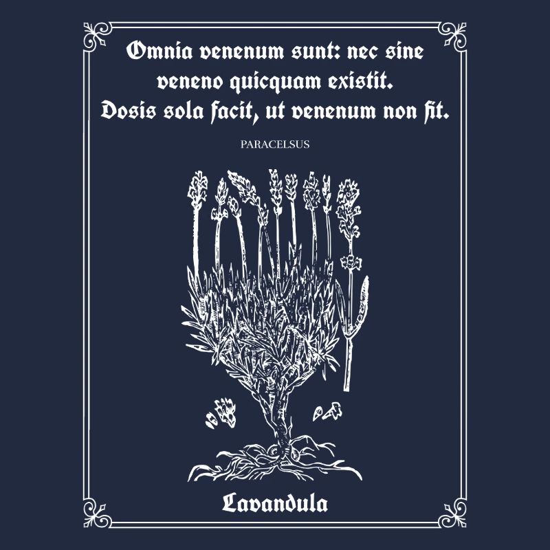 Citation latine de Paracelse – Illustration de lavande