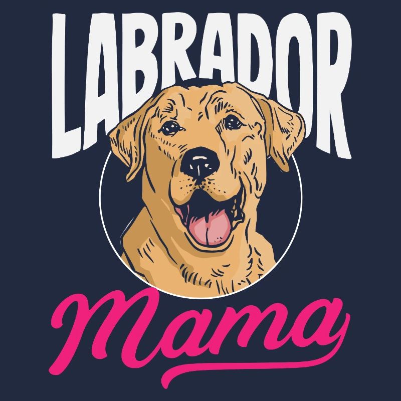 Labrador Tricks