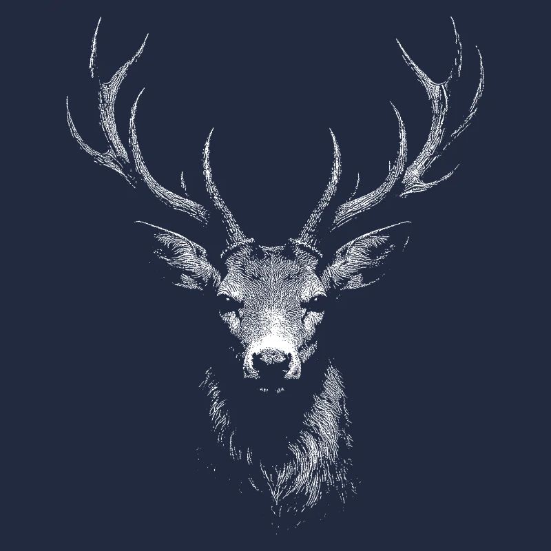 roe deer