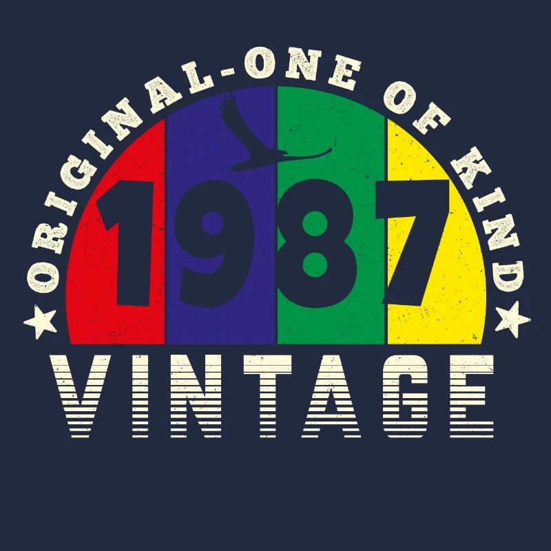 Vintage 1987 Retro - Bursdag