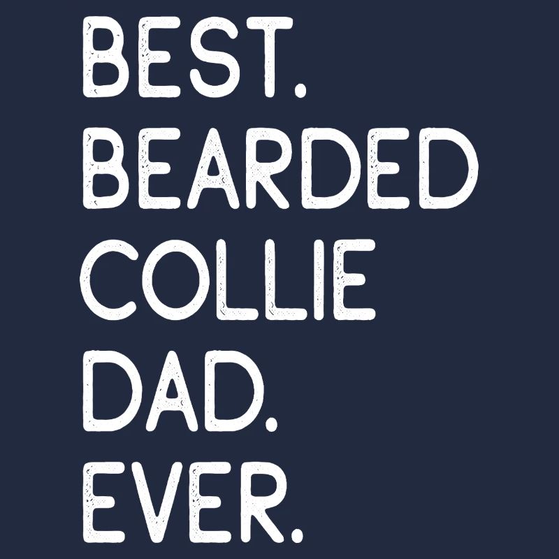 Bearded Collie