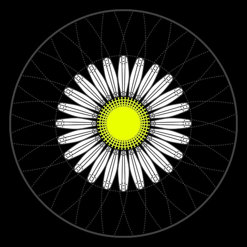 Gänseblümchen - Dunkel