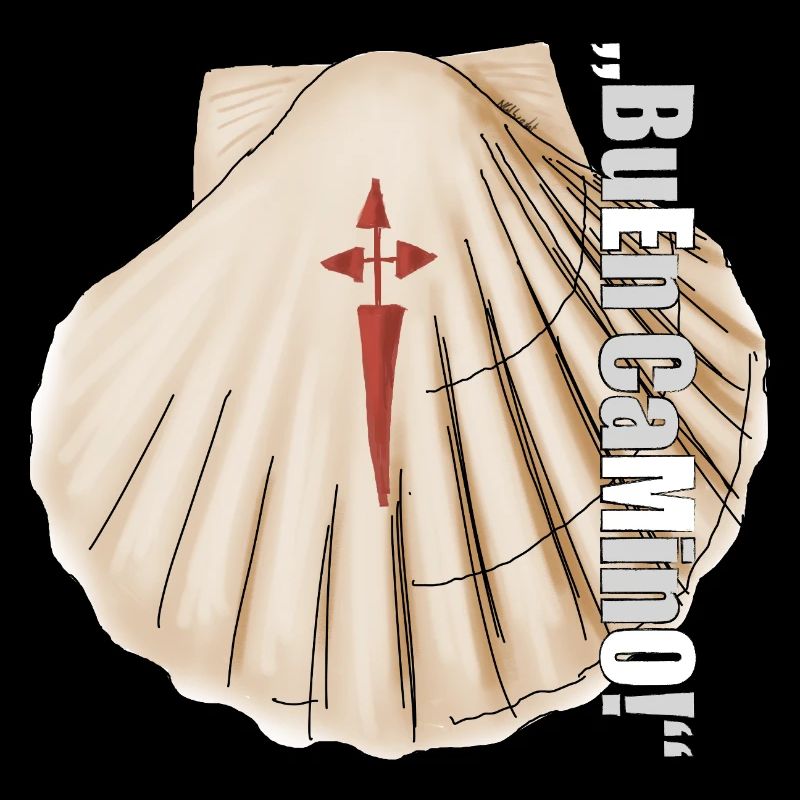 Coquille Saint-Jacques