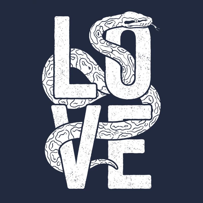 Königspython Schlangen LOVE Terrarium Python