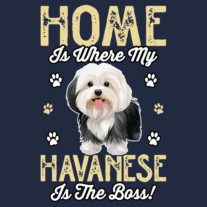 La maison, c’est là où mon bichon havanais est le chef