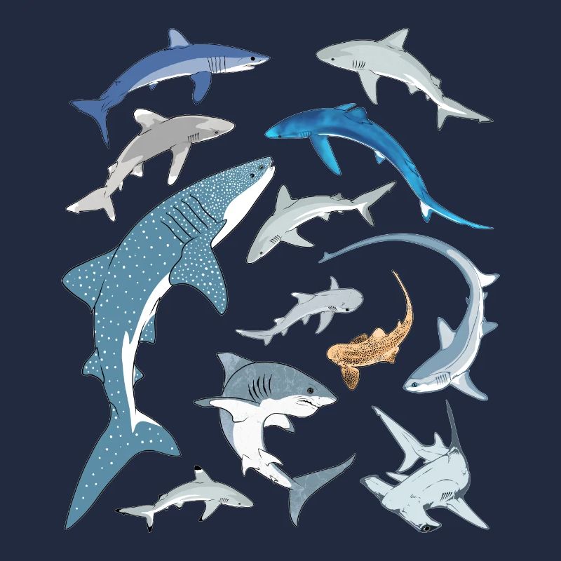 Requin bleu, requin-baleine, requin-marteau, requin requin, espèce de requin