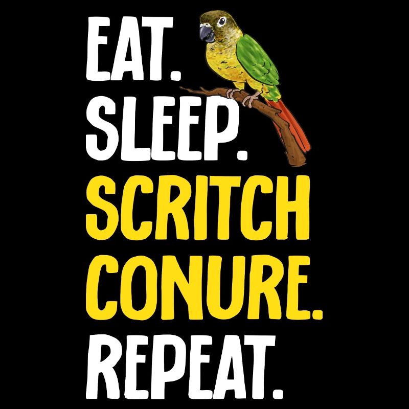 Perruche Molina Perroquet Perruche oiseau