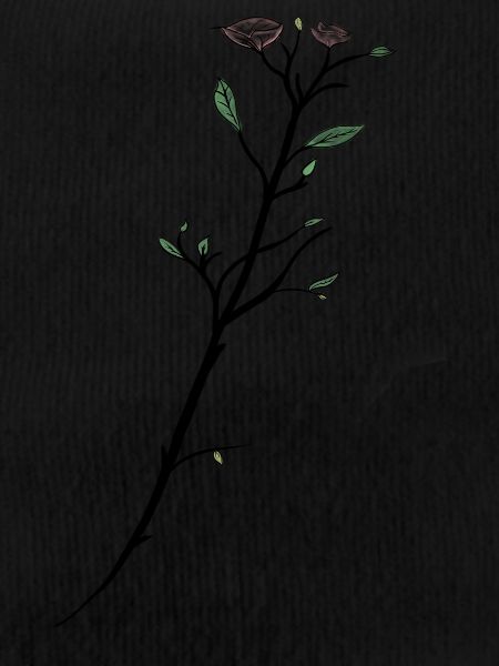 Twig