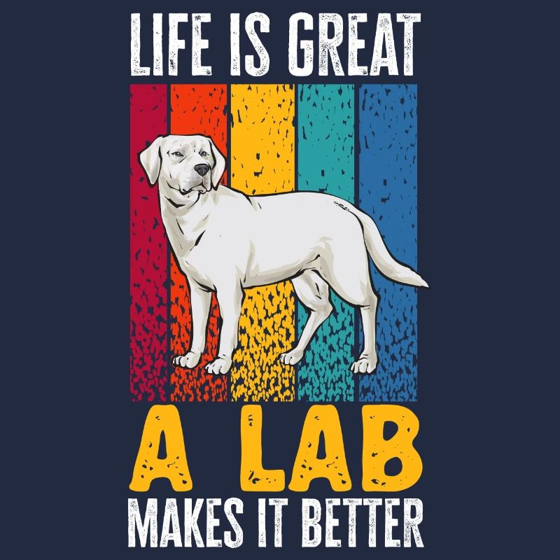 Labrador Retriever blanc Labrador Labrador blanc