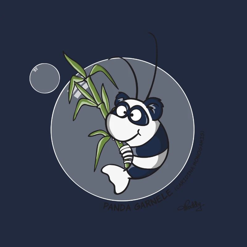 Panda Garnele