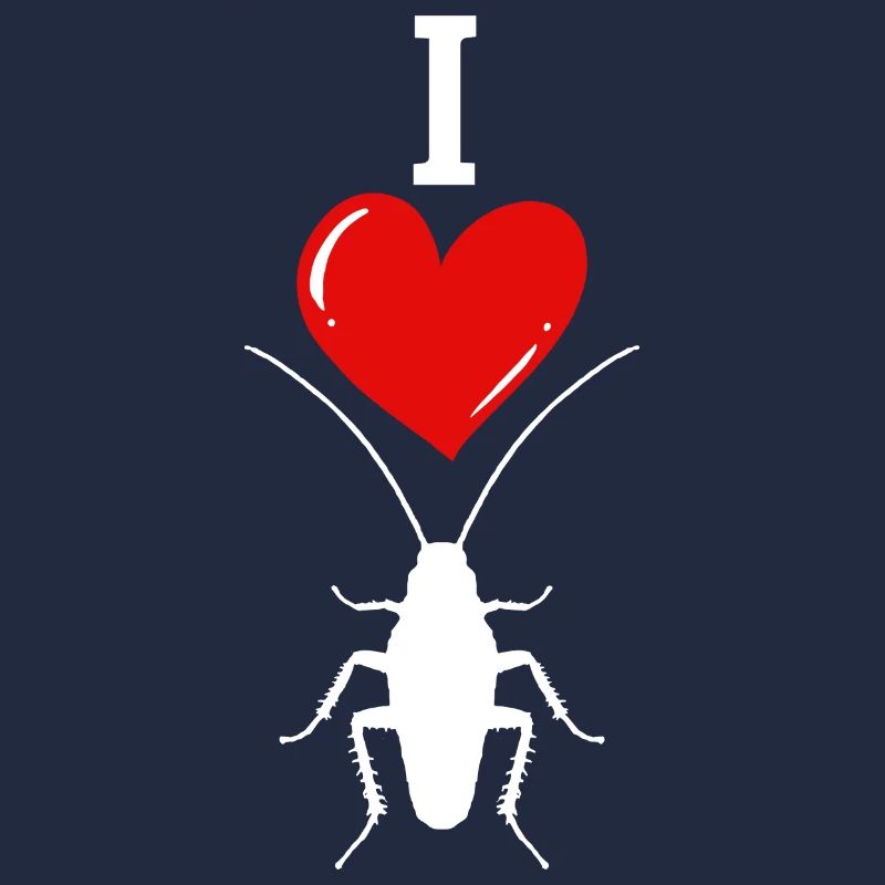 insecte cafard