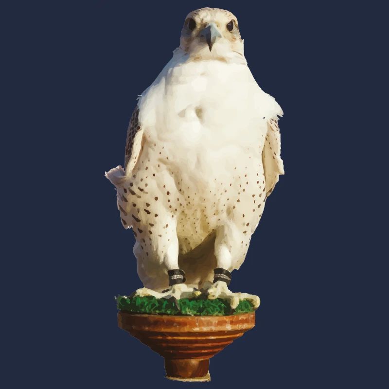 Beautiful white gyrfalco