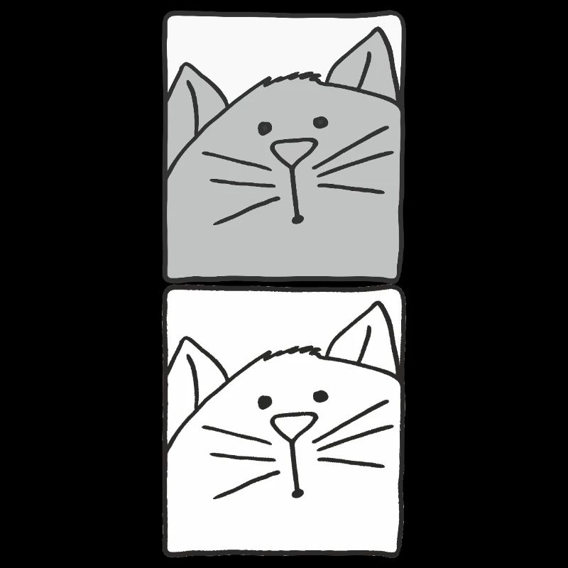 Chat gris et blanc