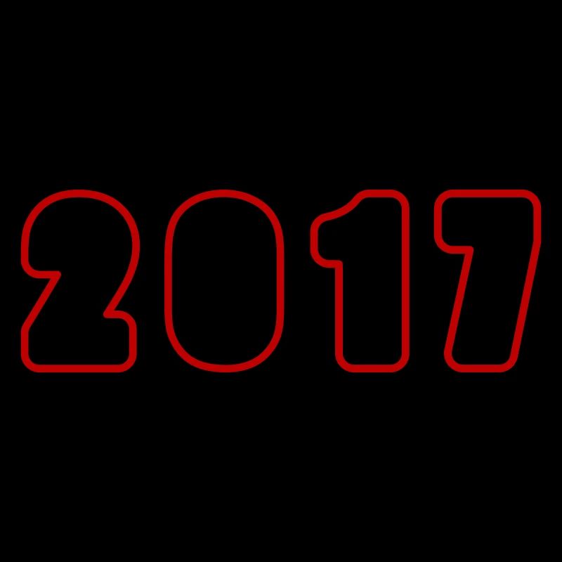 2017 Year Birthday