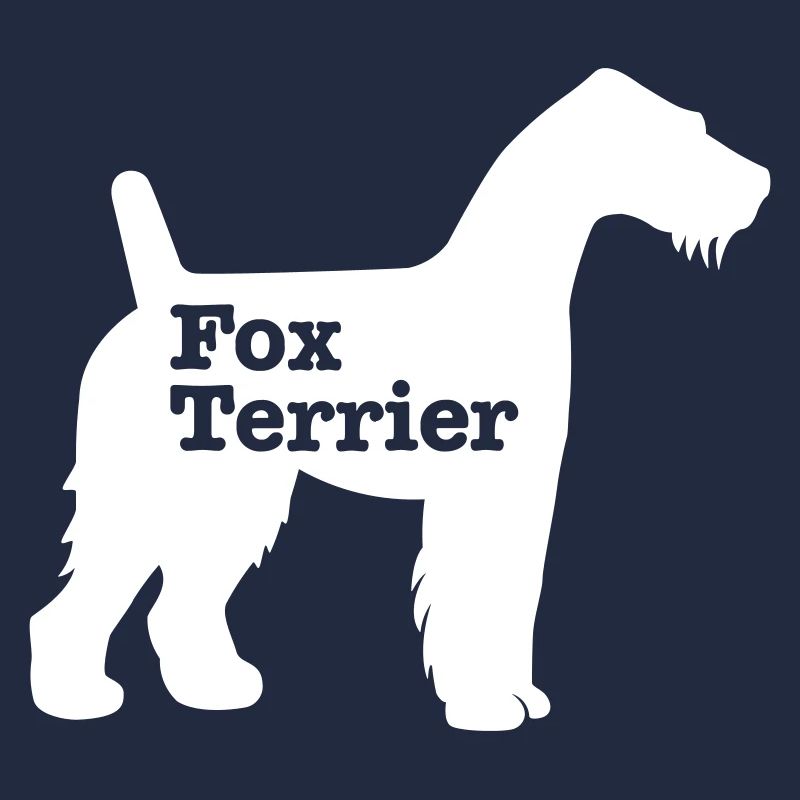 Fox-terrier