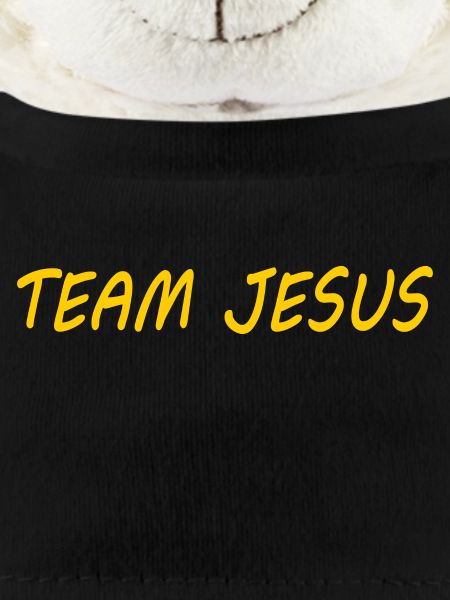 Team jesus