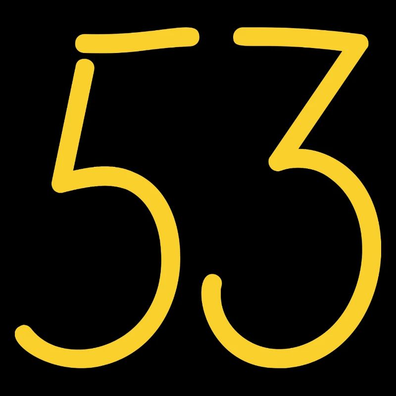 53