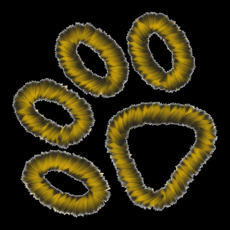 goldene Tiger Pfote